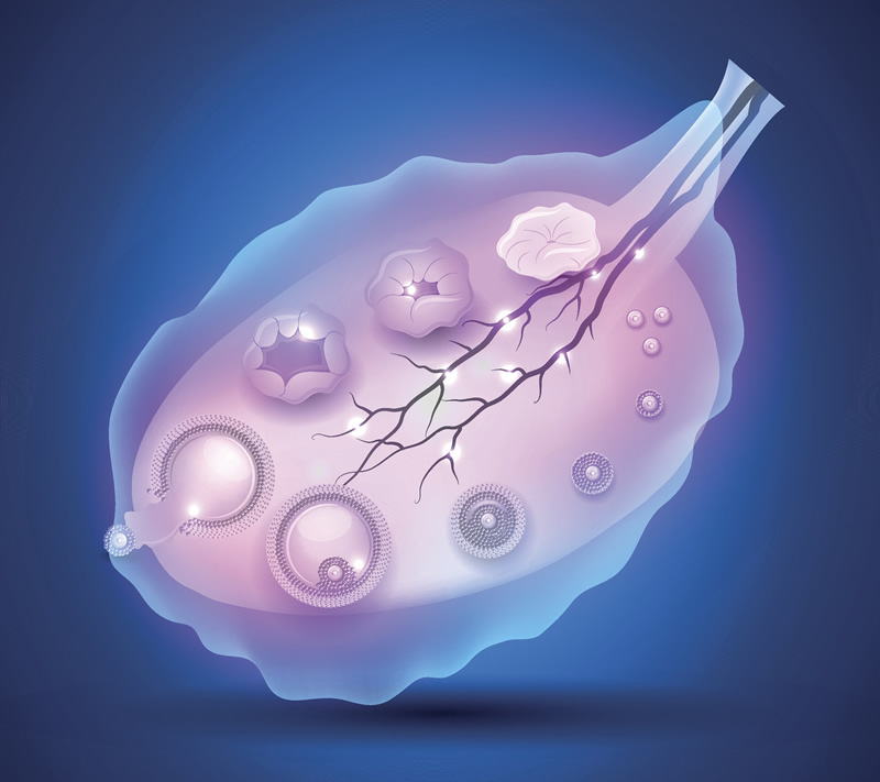 2026呼和浩特第三代试管婴儿大约多少钱_呼和浩特试管婴儿费用大约多少！